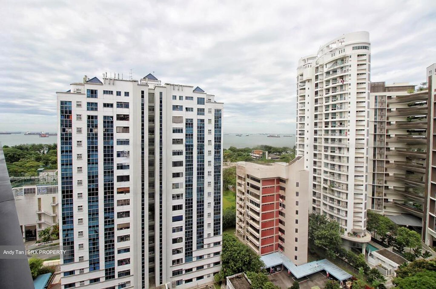 Amber Park (D15), Condominium #466450051